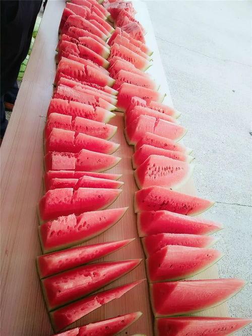 免费吃瓜福利群,畅享娱乐盛宴,轻松解锁快乐生活 第2张 免费吃瓜福利群,畅享娱乐盛宴,轻松解锁快乐生活 第2张