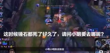 流浪者语音台词爆料视频,幕后故事与情感波动 第3张 流浪者语音台词爆料视频,幕后故事与情感波动 第3张